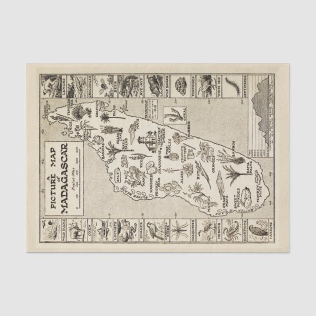 Papier Mousseline Carte de l'île tropicale de Madagascar (Recto)