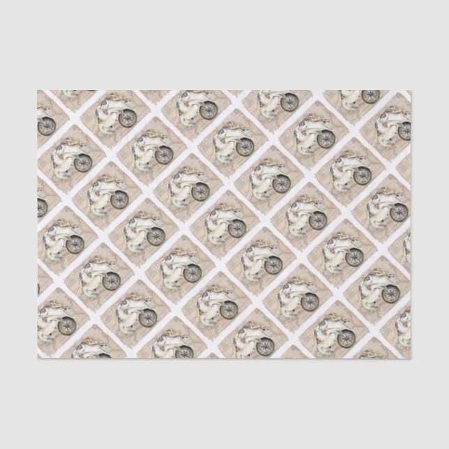 Papier Mousseline Carte du boussole des tortues marines (Recto)