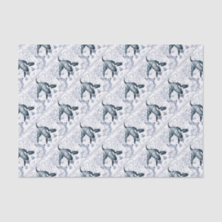 Papier Mousseline Carte Orca bleu