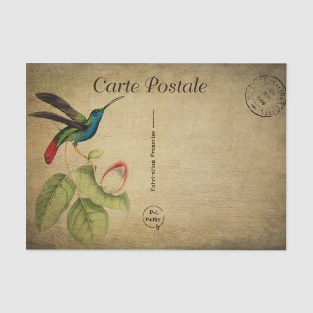 Papier Mousseline Carte Postale Française Colibri (Recto)