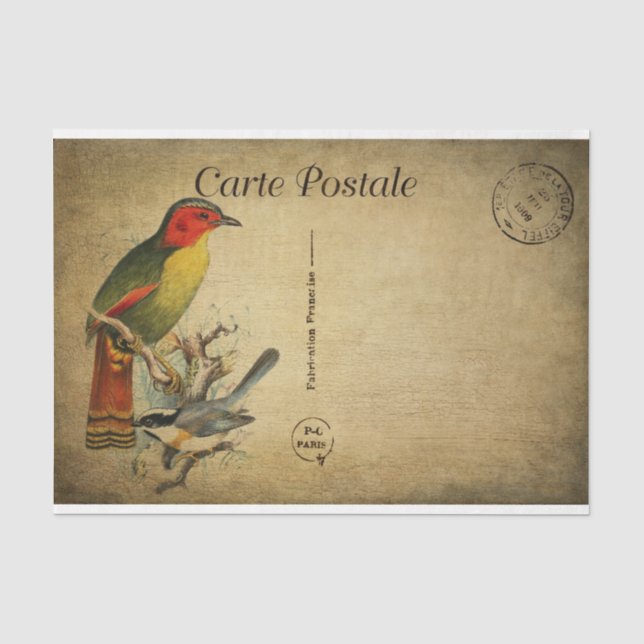Papier Mousseline Carte postale française Ephemera Découpage Oiseaux (Recto)