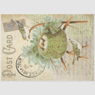 Papier Mousseline Carte postale Nesting Bird