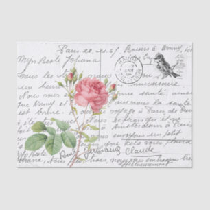 Papier Mousseline Carte postale Rose d'oiseaux Pink