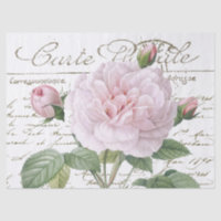 Carte Postale Rose Redouté Rose Gold Script frança