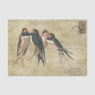 Papier Mousseline Carte postale Swallow