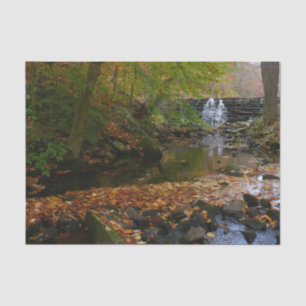 Papier Mousseline Cascade automnale et Creek Pennsylvania Nature