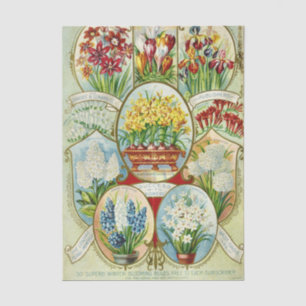 Papier Mousseline Catalogue de graines anciennes Fleurs Bulbes Dinge