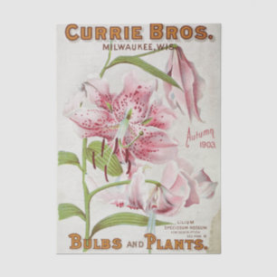 Papier Mousseline Catalogue de graines vintage Currie Bros, Automne