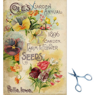 Papier Mousseline Catalogue vintage de semences Cole's Garden Annuel