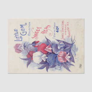 Papier Mousseline Catalogue vintage de semences James Vick's Sweet P
