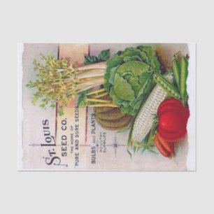 Papier Mousseline Catalogue vintage des semences St. Louis Seed Comp