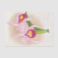 Cattleya Trianae Var Purpurata (Orchidée) par Lind