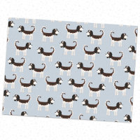 Cavalier King Charles Spaniel Chien