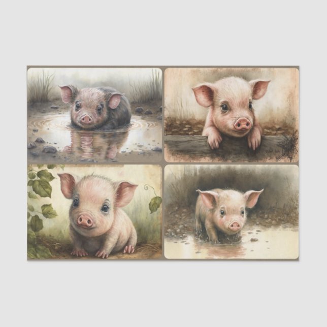 Papier Mousseline Ce petit cochon (Recto)