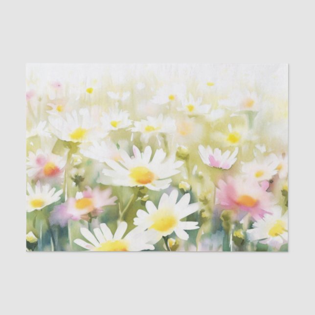 Papier Mousseline Champ d'aquarelle Fleurs-Daisy (D) (Recto)