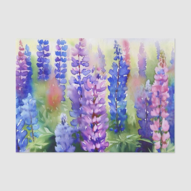Papier Mousseline Champ d'aquarelle Fleurs-Lupine (C) (Recto)
