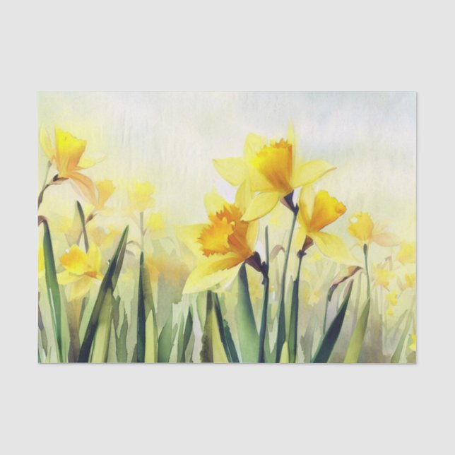 Papier Mousseline Champ de fleurs-Daffodil (C) Aquarelle (Recto)