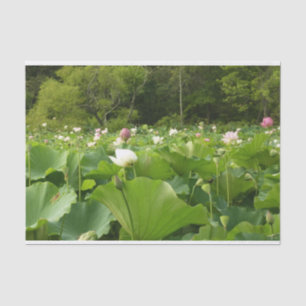 Papier Mousseline Champ de fleurs de Lotus Jardin d'été