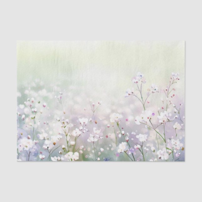 Papier Mousseline Champ de fleurs-Gypsophila (D) Aquarelle (Recto)