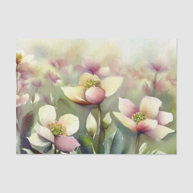 Papier Mousseline Champ de Fleurs-Hellebore (A) Aquarelle (Recto)
