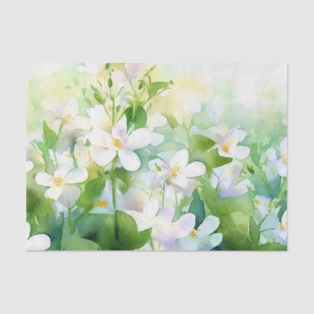 Papier Mousseline Champ de fleurs-Jasmin (B) Aquarelle (Recto)