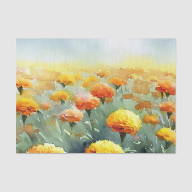 Papier Mousseline Champ de fleurs-Marigold (A) Aquarelle (Recto)