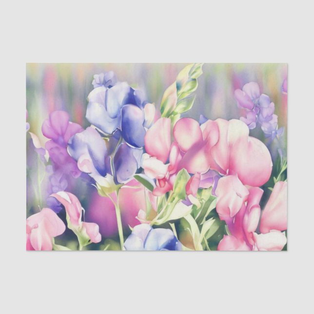 Papier Mousseline Champ de fleurs - Pois doux (A) Aquarelle (Recto)