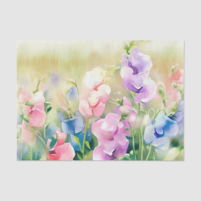 Papier Mousseline Champ de fleurs - Pois doux (D) Aquarelle (Recto)