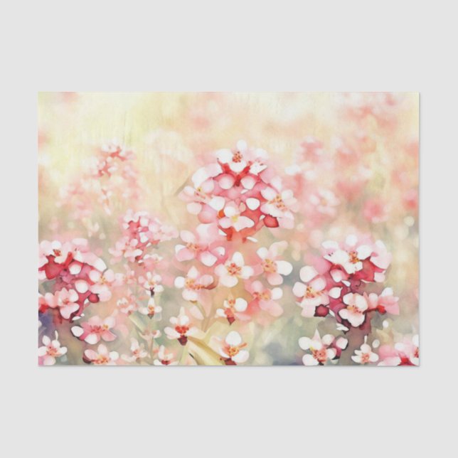 Papier Mousseline Champ de fleurs-Waxflower (B) Aquarelle (Recto)