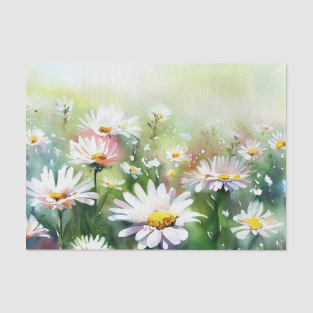 Papier Mousseline Champ de marguerite à fleurs (A) Aquarelle (Recto)