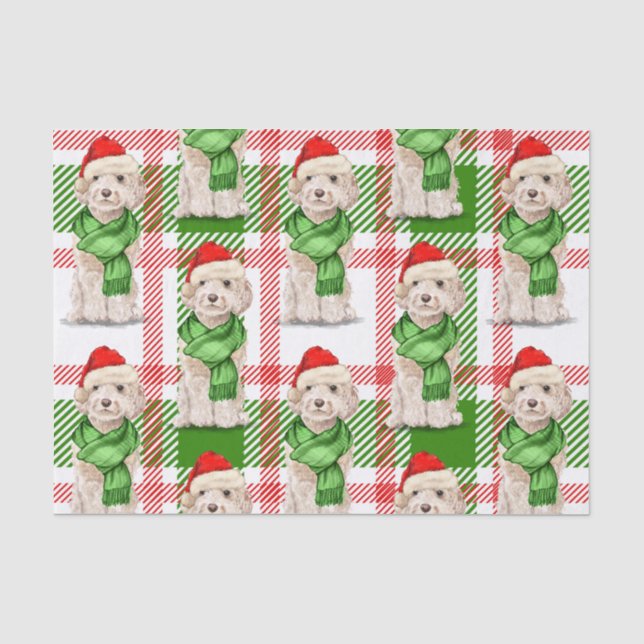 Papier Mousseline Champagne rouge et vert Plaid Cockapoo Noël (Recto)