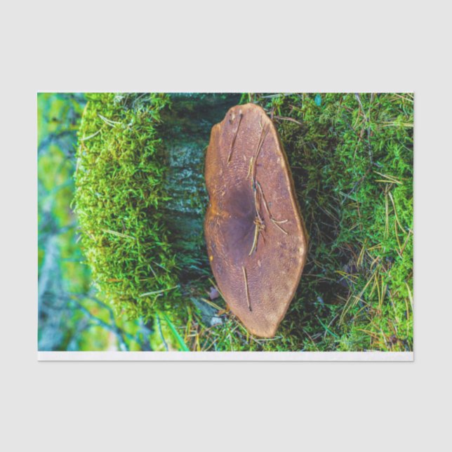 Papier Mousseline Champignon de moril vert nature herbe (Recto)