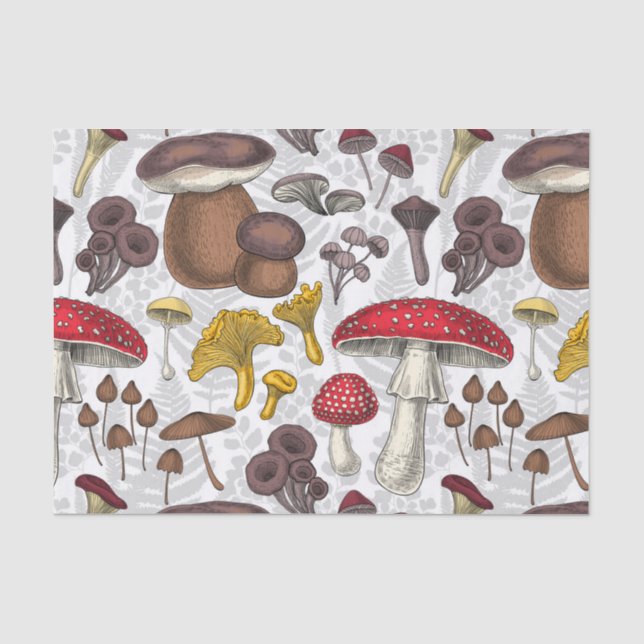 Papier Mousseline Champignons sauvages (Recto)