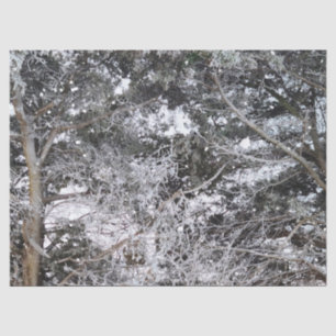Papier Mousseline Chasse au Camouflage Motif de neige 4
