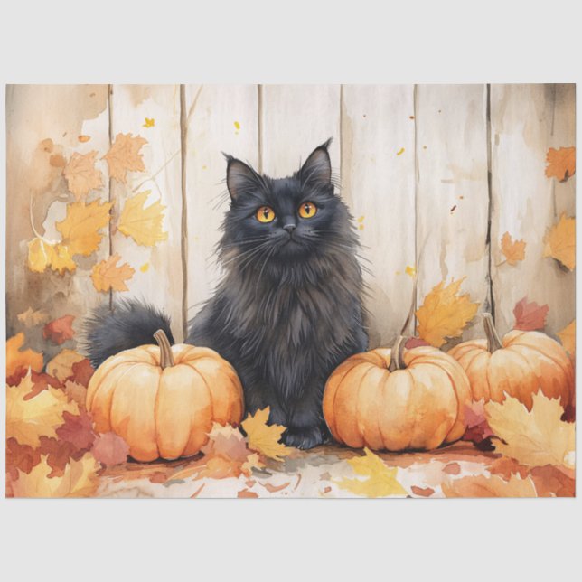 Papier Mousseline Chat d'automne et découpage Citrouille (Recto)