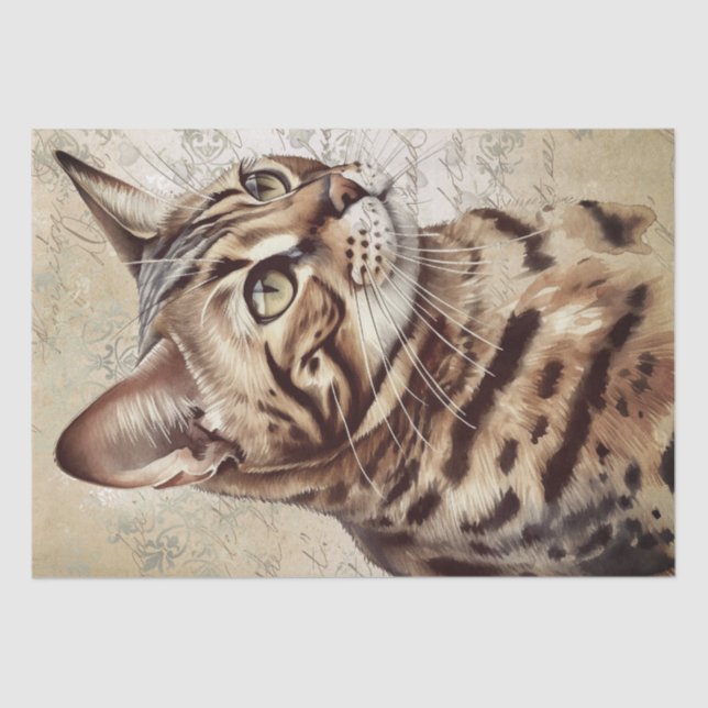 Papier Mousseline Chat du Bengale (Recto)