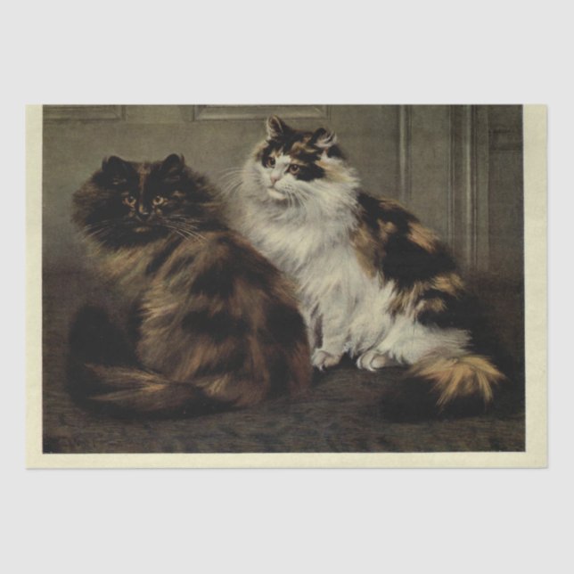 Papier Mousseline Chat Ephemera Decoupage Tortoiseshell noir blanc (Recto)