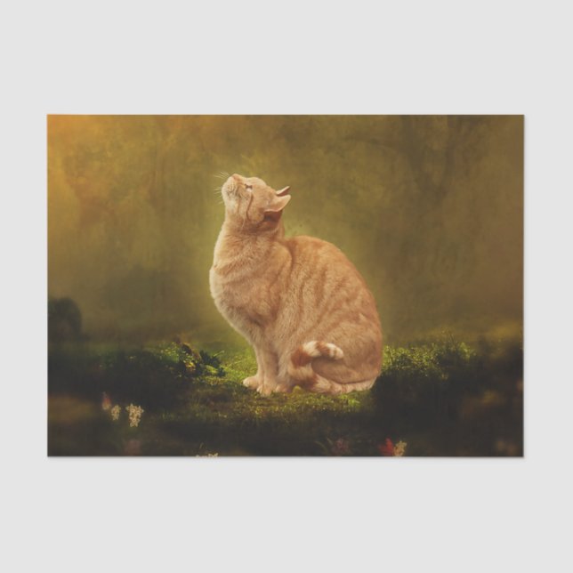 Papier Mousseline Chat et fée (Recto)