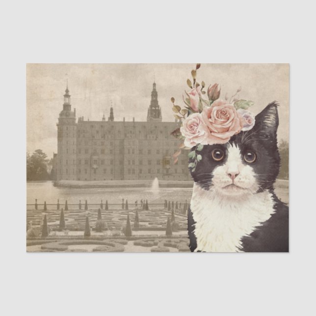 Papier Mousseline Chat fantaisie & Jardins Du Château (Recto)