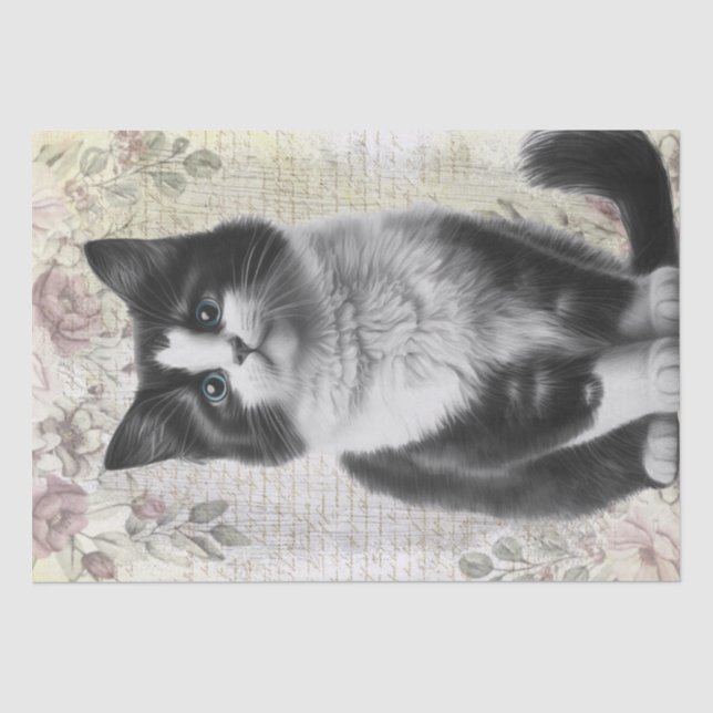 Papier Mousseline Chat floral noir et blanc Kitten (Recto)