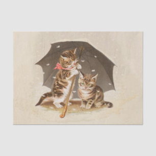 Papier Mousseline Chat Kitten chaton antique vintage jolie mignonne