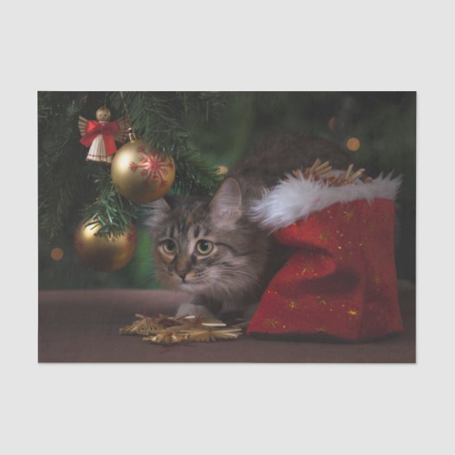 Papier Mousseline Chat Kitty Noël mignon (Recto)