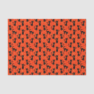 Papier Mousseline Chat noir éffrayant Halloween Bats orange