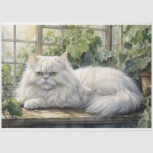 Papier Mousseline Chat perse blanc bouffant dans une décomposition d