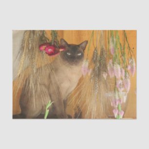 Papier Mousseline Chat Siamois Posé Avec Fleurs Découpage