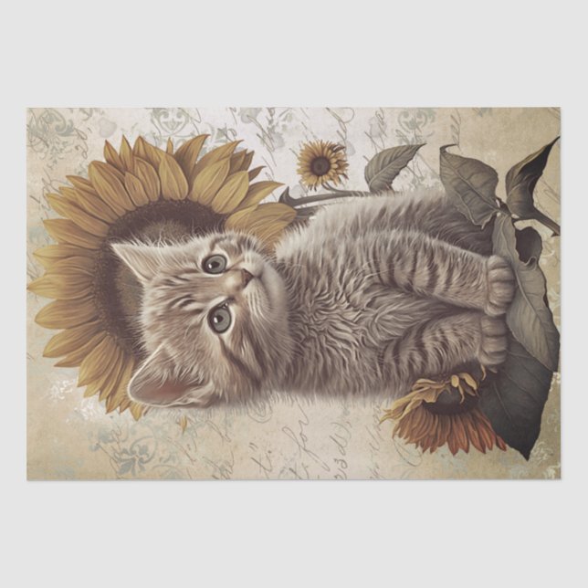 Papier Mousseline Chat Tournesol Cute Kitten (Recto)