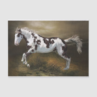Papier Mousseline Châtaigner cadre Tovero Paint Horse