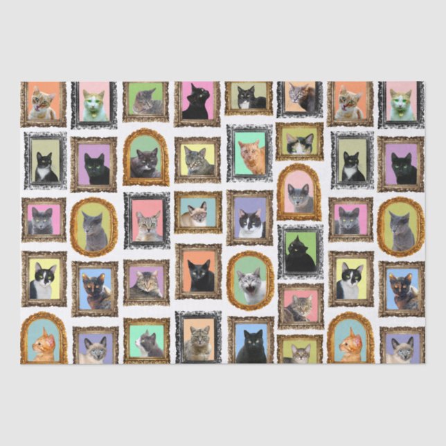 Papier Mousseline Chats dans les cadres Papier Tissu (Recto)