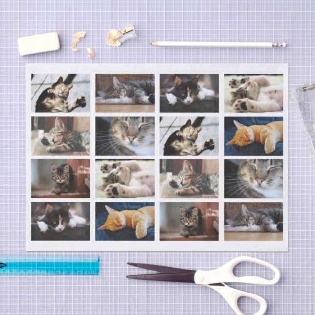 Papier Mousseline Chats mignons et chatons Modèle photo en blanc (Artisanat)