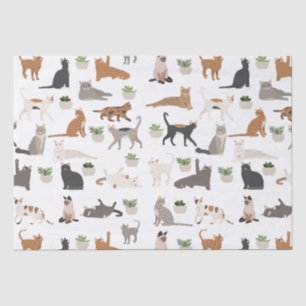 Papier Mousseline Chats mignons et plantes d'intérieur découpage